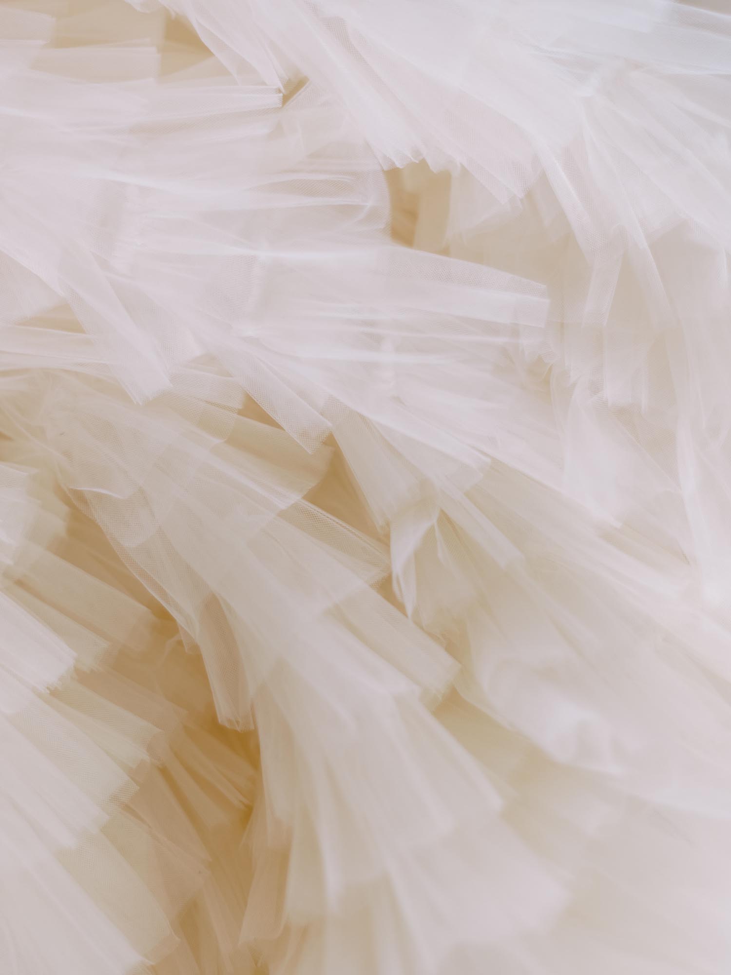 haute stock photography subscription fleur collection final 13
